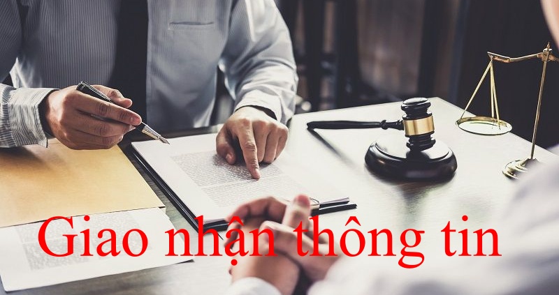 báo cáo công việc