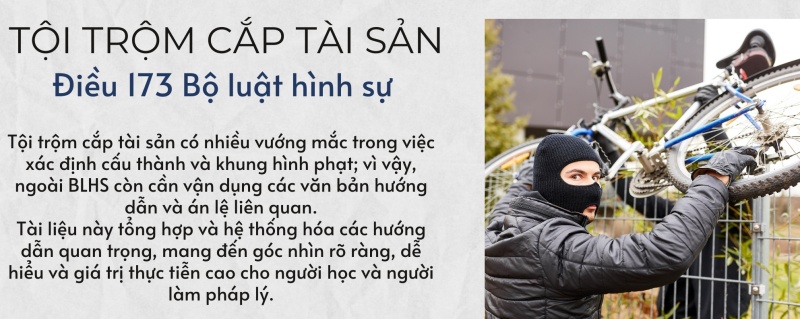 Tội trộm cắp tài sản 5 173