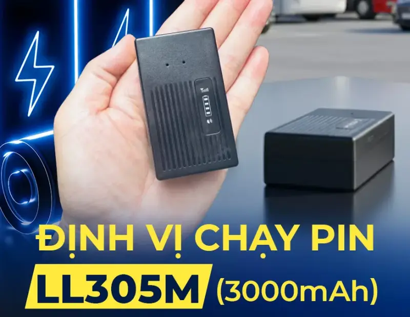 dinh vi ko day