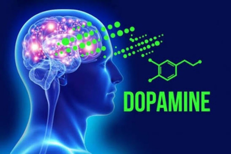 Tìm hiểu về ma tuý đá 2 dopamin