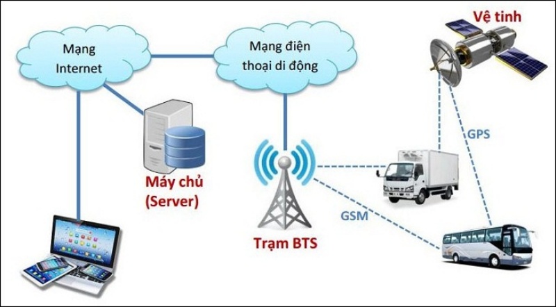 dvi oto