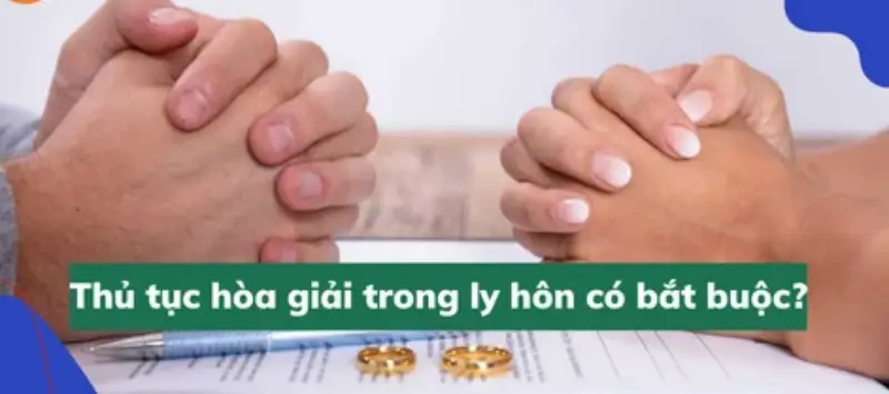 Tìm hiểu về ly hôn 6 hoa gia trong ly hon co bat buoc