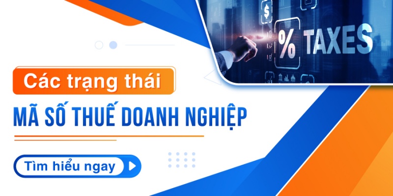 Thám từ điều tra đối tác kinh doanh 8 ktra trang thai mst