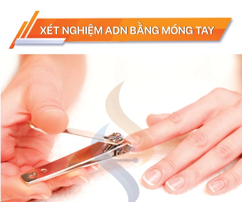 Dịch vụ lấy bằng chứng ADN 9 mong tay