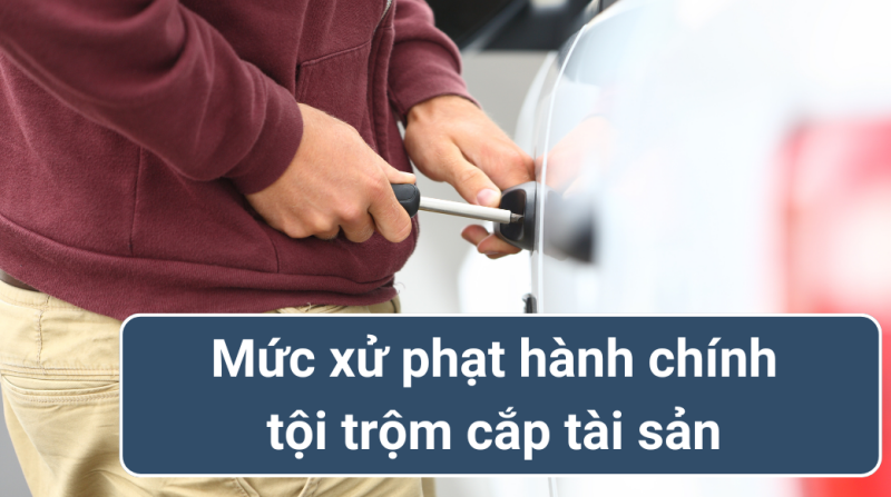 Tội trộm cắp tài sản 4 phat hanh chinh