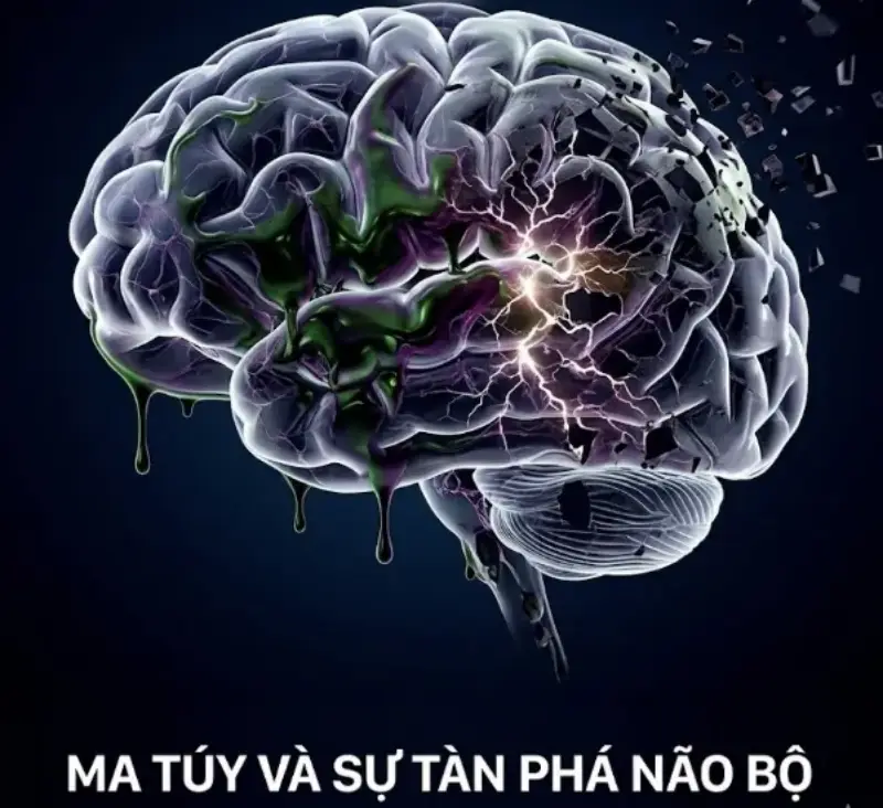 tan pa nao