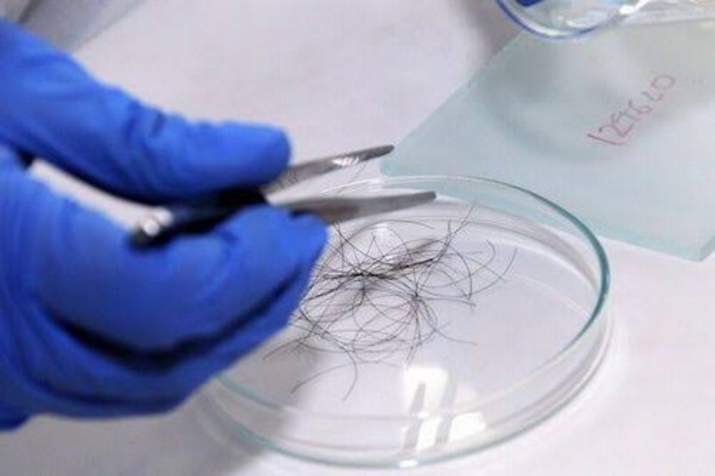 Dịch vụ lấy bằng chứng ADN 5 thu thap mau adn