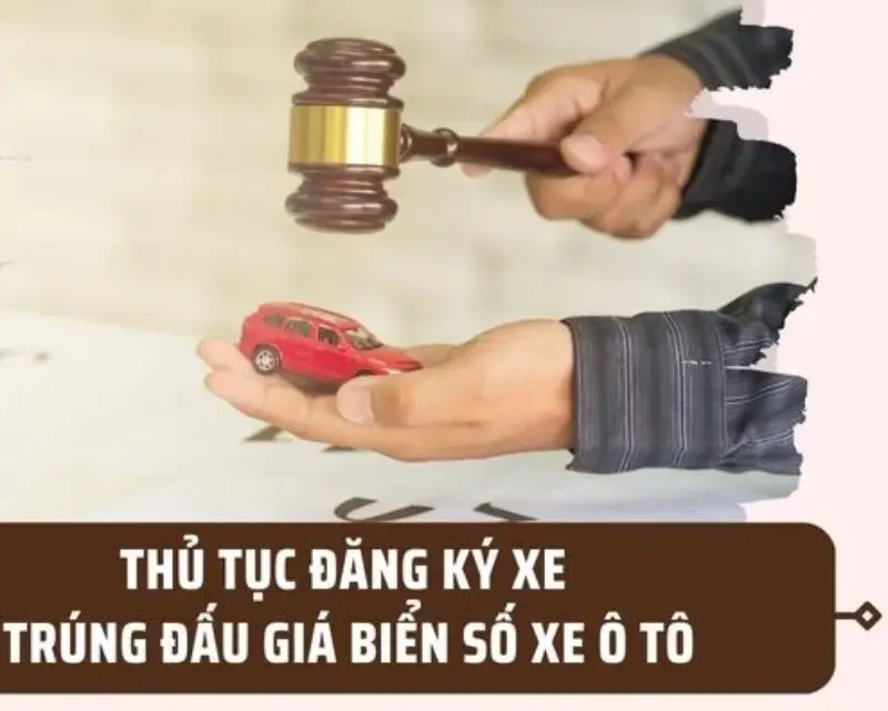 thu tuc dki bien dau gia