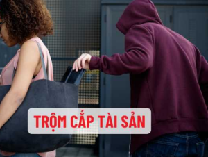 trom cap tai san 1