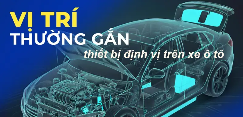 vi tri thuong gan