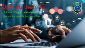dịch vụ thám tử mạng