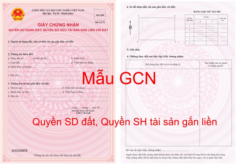 Tài sản trước hôn nhân 5 mẫu giấy chứng nhận quyền sử dụng đất
