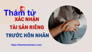 thám tử xác minh tài sản riêng trước hôn nhân