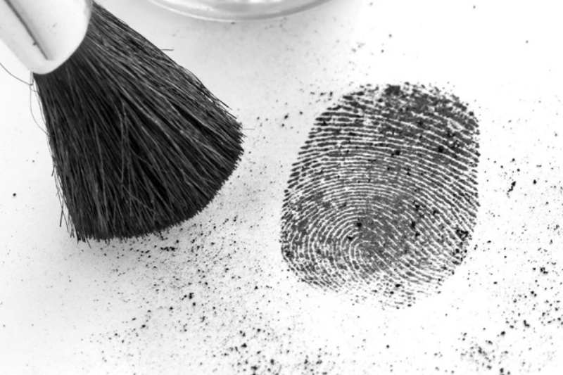 Thuê giám định vân tay bao nhiêu tiền 4 giám định dấu vân tay trên gạch