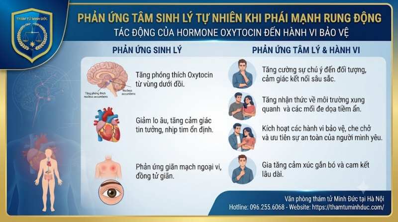 Tâm Lý Đàn Ông Khi Thích Ai Đó Qua Biểu Hiện - Tâm Sinh Lý Và Bề Ngoài 5 tác động của hormone õytocin den hanh vi bao ve