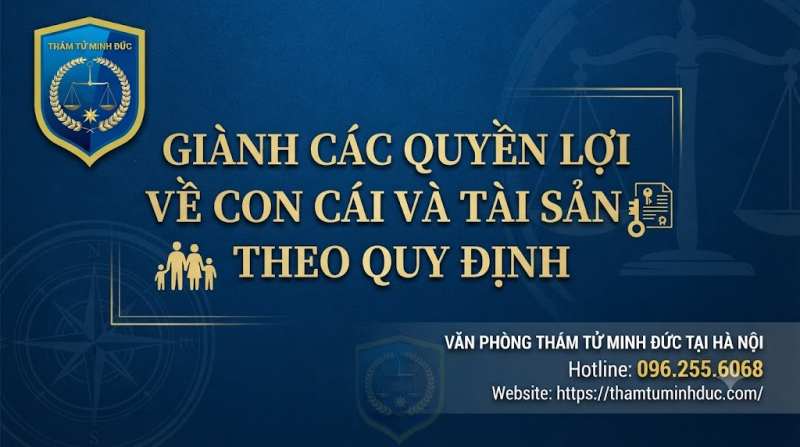 giành các quyền lợi về con cái và tài sản