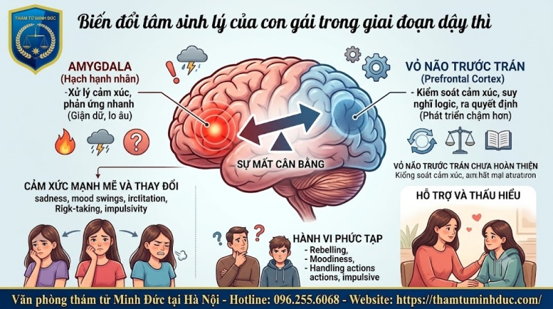 sự mất cân bằng amygdala