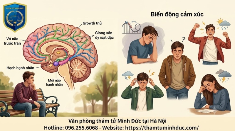 sự biến động cảm xúc