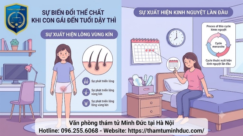 xuất hiện kinh nguyệt và phát triển lông mu