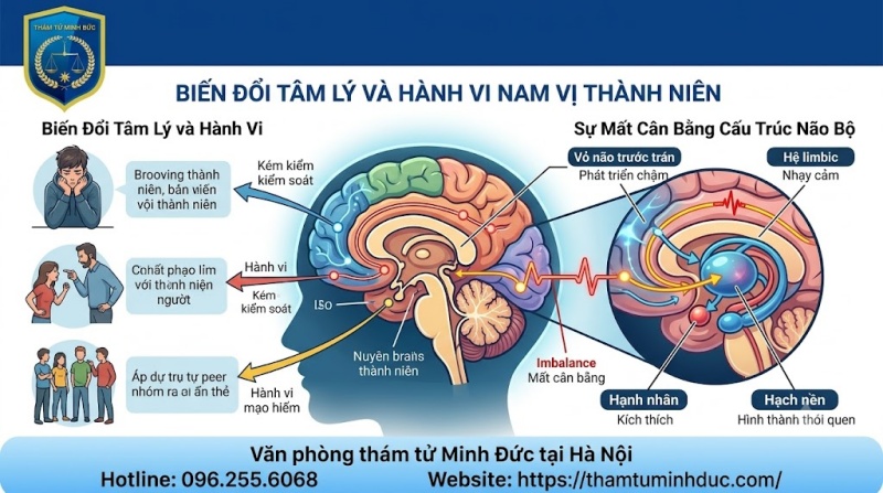 mất cân bằng cấu trúc não bộ