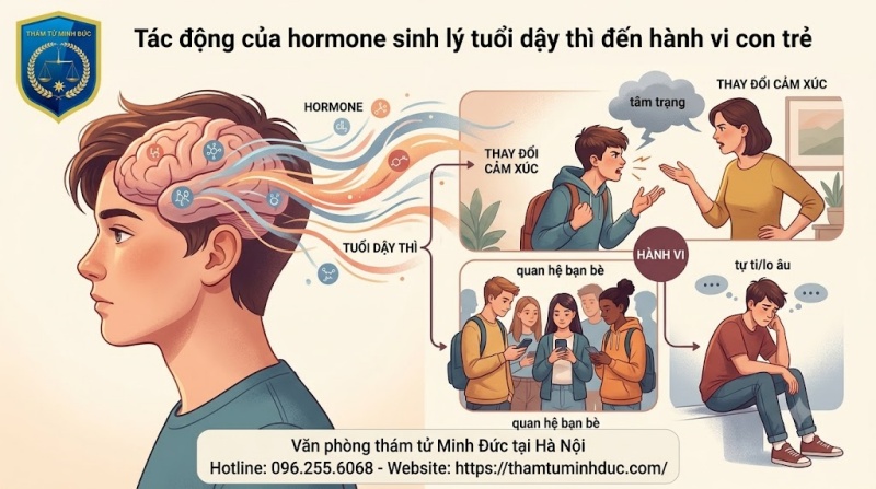tác động của hocmon đến hành vi con trẻ
