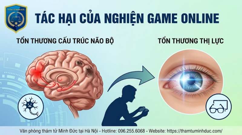 tổn thương cấu trúc não bộ và thị lực